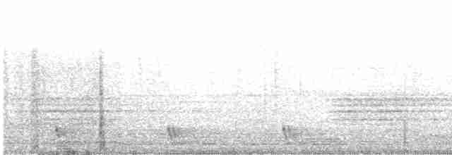 Large-tailed Nightjar - ML422580631