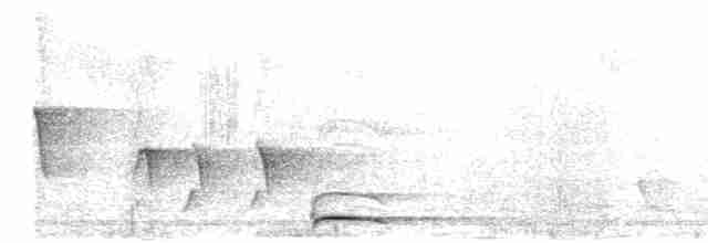 Chevêchette cuculoïde - ML422608191