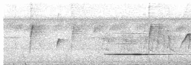 Cinereous Tinamou - ML422633701
