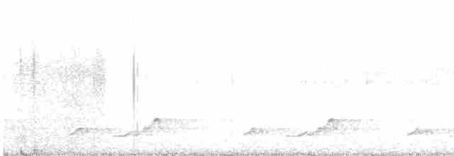 Schwarzkehl-Nachtschwalbe - ML422681771