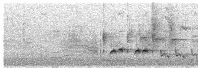 Eastern Orphean Warbler - ML42272951