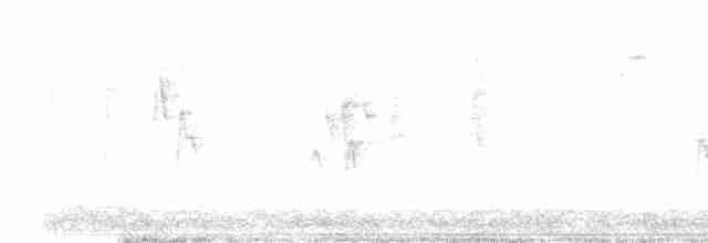 Юнко сірий [група oreganus] - ML422761501