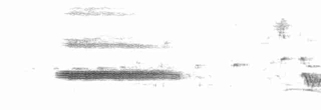Turuncu Ardıç - ML422826491