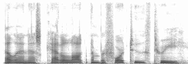 キガシラモリチメドリ Ebird