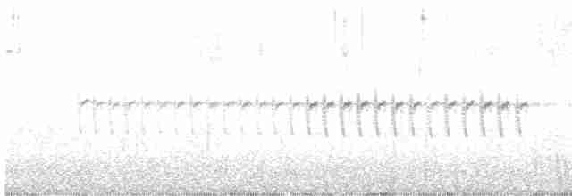 křivka bělokřídlá - ML423015281