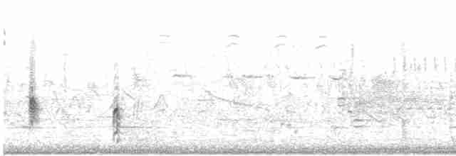 Al Kanatlı Karatavuk (californicus/mailliardorum) - ML423055361