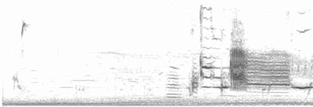 Al Kanatlı Karatavuk (californicus/mailliardorum) - ML423055411