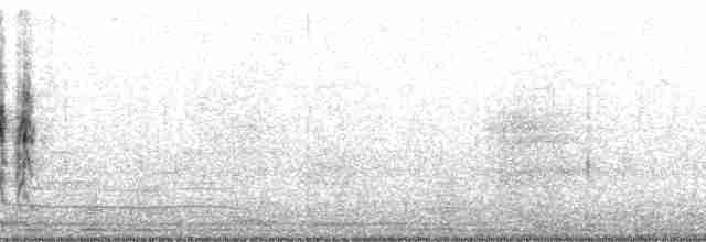Щеврик антарктичний - ML42309