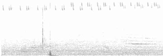 Large-tailed Nightjar - ML423358171