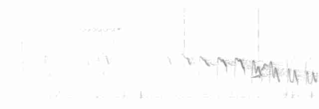 Зяблик гран-канарський - ML423388991