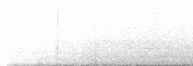 Black-naped Oriole - ML423493161