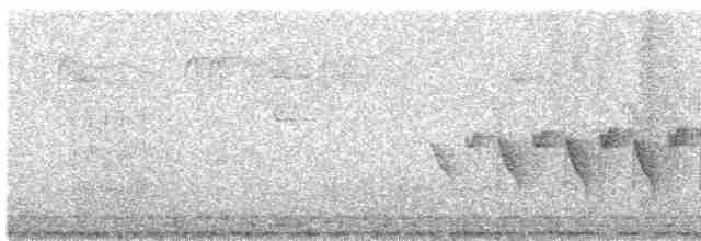 Black-eared Shrike-Babbler - ML423519631