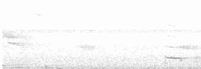Ошейниковый трогон - ML423558551