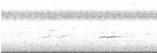 Gray-tailed Tattler - ML423578951