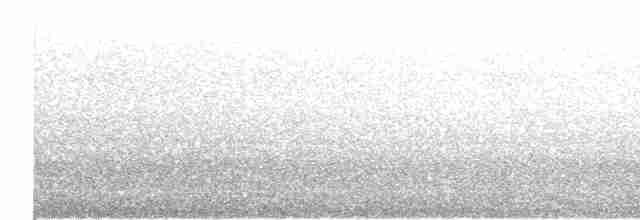 buřňák šedý (ssp. borealis) - ML423799821