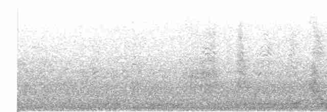 buřňák šedý (ssp. borealis) - ML423799831