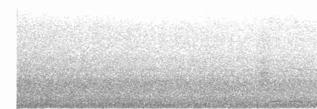 Буревісник cередземноморський (підвид borealis) - ML423799851