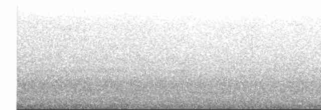 buřňák šedý (ssp. borealis) - ML423799861