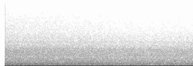 Буревісник cередземноморський (підвид borealis) - ML423799901