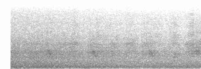Cory's Shearwater (borealis) - ML423799911