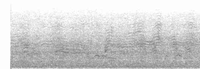 Канарский буревестник - ML423800001