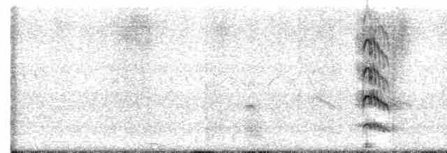 Glaréole lactée - ML423817461