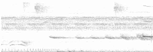 Strichelschulter-Ameisenschnäpper - ML423838101