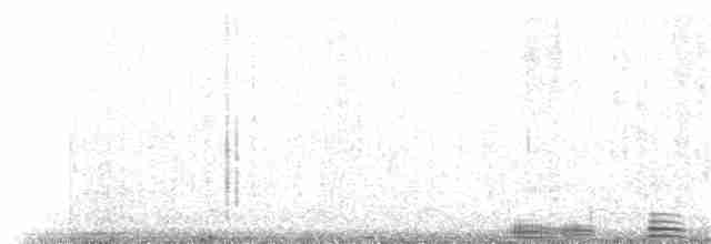 Cisne Trompetero - ML42405241