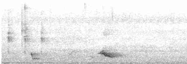 Large-tailed Nightjar - ML424072931