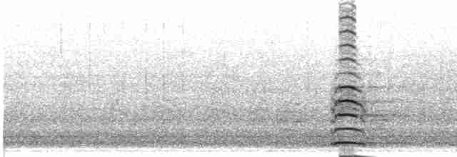 Cygne siffleur - ML424093371