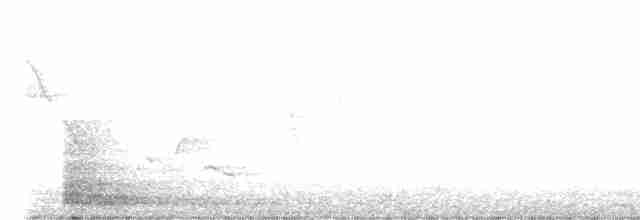 黃腹柳鶯(affinis/perflavus) - ML424105681