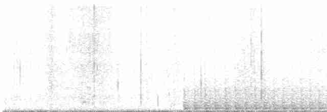 Pileated Woodpecker - ML424369631