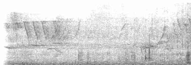 Common Merganser (North American) - ML424378441
