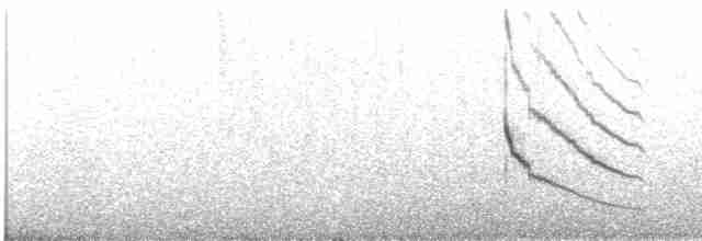 Uzun Kuyruklu Sinklot (espinhacensis) - ML424388571