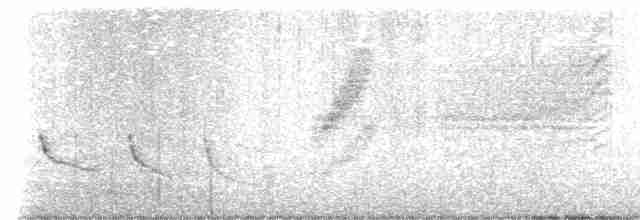 Каньонный крапивник - ML424389111