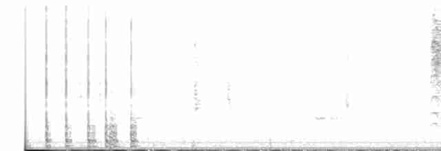 spydknottsmett (rufiventris gr.) - ML424422451