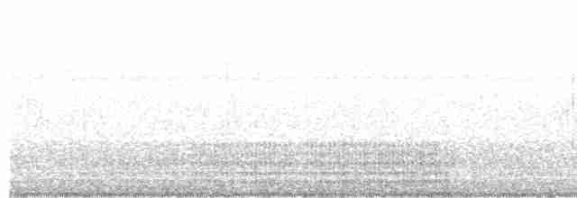 kormorán galapážský - ML424608721