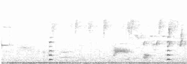 Андская лысуха - ML424715211
