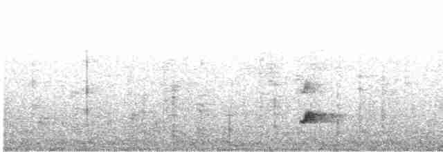 Дрізд-короткодзьоб Cвенсона - ML424715671