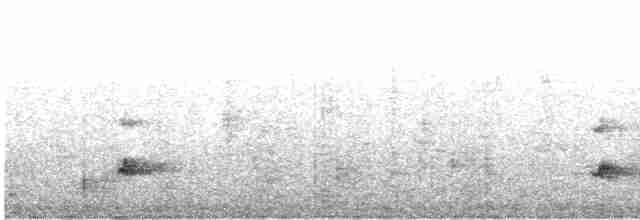 Дрізд-короткодзьоб Cвенсона - ML424715701