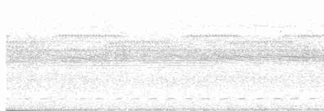 Streifenbrust-Ameisendrossel - ML424728781