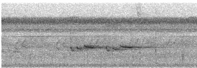 Stripe-throated Wren - ML424757841