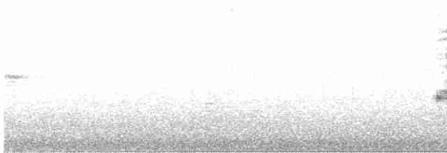 Loggerhead Shrike - ML424937521