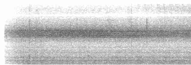 Lattice-tailed Trogon - ML424985981