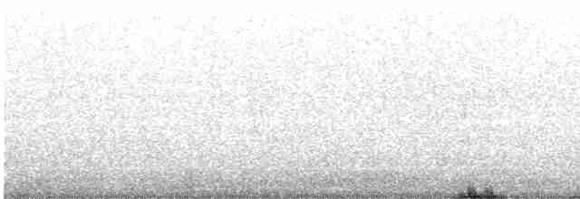 White-eyed Vireo - ML424994631