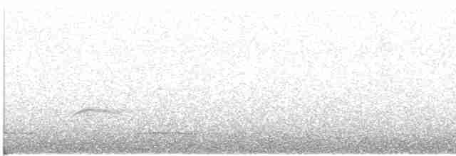 Weißflecken-Ameisenpitta - ML425088001