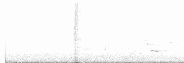 Pileated Woodpecker - ML425174711