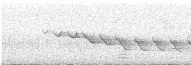 Каньонный крапивник - ML425231671