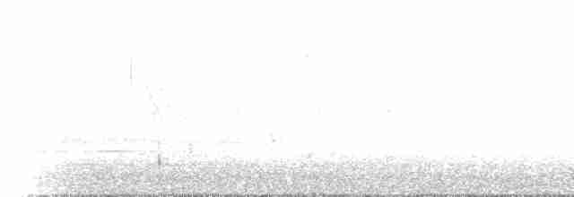 Carouge à épaulettes (groupe phoeniceus) - ML425252571