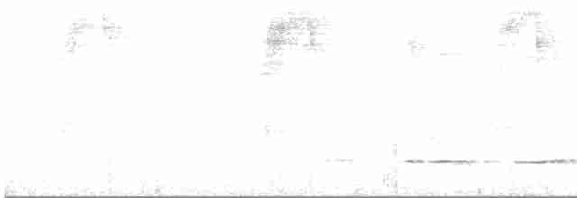 Gelbbrust-Ameisenpitta - ML425302761